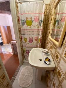 a bathroom with a sink and a shower curtain at Camere Il Leone in Taormina