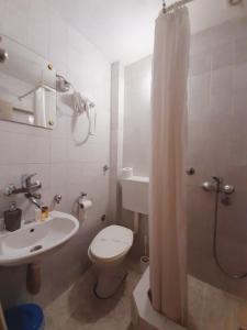 un bagno con wc, lavandino e doccia di Guest House Colovic a Zlatibor