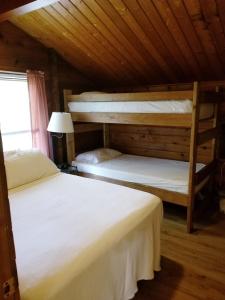 two bunk beds in a room with a wooden ceiling at Lake Texoma Camping Resort Cabin 1 in Willow Spring