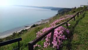 een hek met roze bloemen naast een strand bij Aegean Blue Studios in Afitos