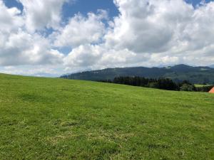 un grand champ d'herbe verte avec un ciel nuageux dans l'établissement Hirschen Wald, à Wald