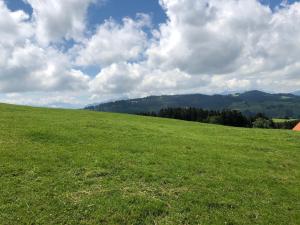 ein großes, grünes Gras mit wolkigem Himmel in der Unterkunft Hirschen Wald in Wald