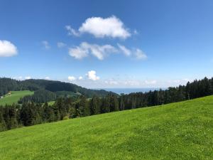 Příroda nedaleko penzionu – hostince