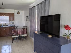 TV a/nebo společenská místnost v ubytování Breakaway Inn Guest House