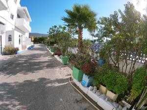 Gallery image of KOS Family House in Psalidi