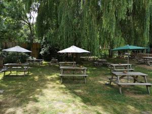 a group of picnic tables and umbrellas in a park at Woolpack Inn in Chichester