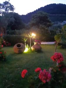 a garden at night with flowers in the grass at Nostos Studios Golden Beach in Chrysi Ammoudia