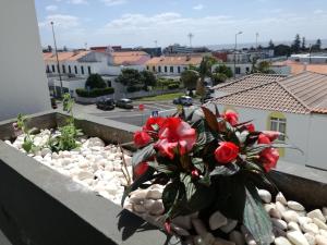 un bouquet de fleurs rouges assises sur un livre dans l'établissement Vizinha's Apartment, à Ponta Delgada