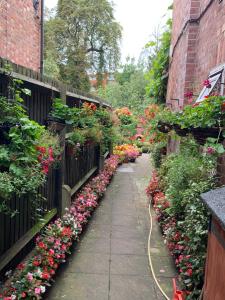 a garden with flowers on the side of a building at 38 Whitehall Road in Harrow on the Hill