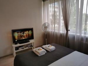 1 dormitorio con 1 cama y TV de pantalla plana en Klaipeda Akro Studio, en Klaipėda