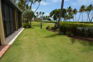 a yard with grass and palm trees and a house at Beach Villa 215 in Humacao