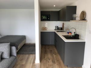 a kitchen with a sink and a couch in a room at Panorama & Vino apartman in Szigliget