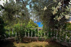 Zahrada ubytování Villa Vanda