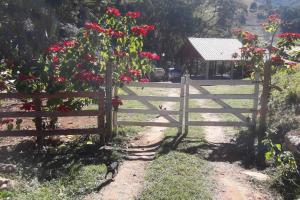 Ein Zaun mit roten Rosen und ein Hund, der daneben steht. in der Unterkunft Rancho Pedra Preta in Itamonte