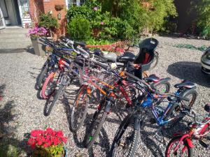 grupa rowerów zaparkowanych obok siebie w obiekcie Willa Cosmos & Champion w Iławie