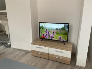 einen Flachbild-TV auf einer Kommode in einem Zimmer in der Unterkunft Ossiach Apartment 1 in Heiligen Gestade