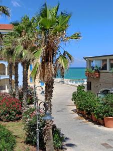 a palm tree on a sidewalk next to the beach at aMare il mare in Porto Recanati