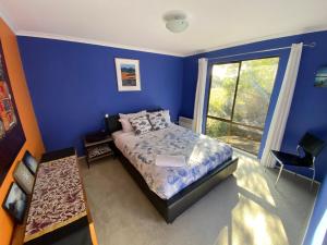 a blue bedroom with a bed and a window at Aperture in Coles Bay