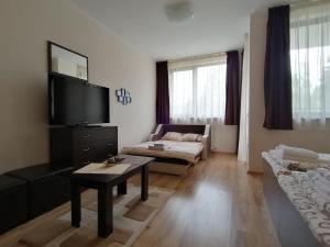 a living room with a tv and a couch at Borovets Gardens Studio D36 in Borovets