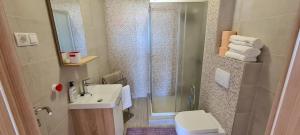 Koupelna v ubytování Villa Aninka