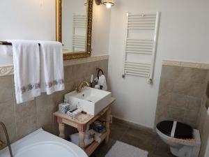 a bathroom with a sink and a toilet and a mirror at Casa Cositorarului Boutique Pension in Sighişoara