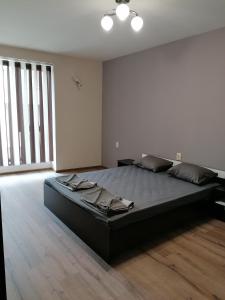 a bedroom with a large bed in a room at Дунав билдингс in Pleven