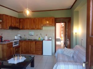 a kitchen with wooden cabinets and a white refrigerator at Small Town Apartment in Konitsa