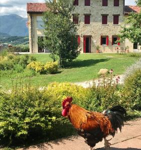 a rooster walking on a path in front of a house at Agriturismo Lemire in San Pietro di Feletto