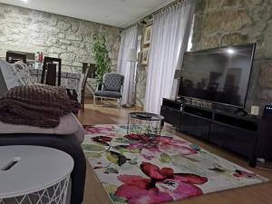TV a/nebo společenská místnost v ubytování Isabel do Couto - casa de charme