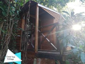 a wooden tree house with the sun shining through it at Beach wood Cottages in Shelly Beach