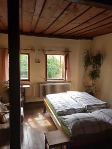 um quarto com uma cama grande e uma janela em Hostelskippy em Cesky Krumlov