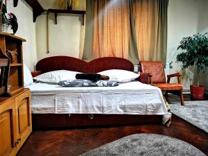 Кровать или кровати в номере Casa Petrescu