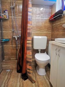 La salle de bains est pourvue de toilettes et d'un rideau de douche. dans l'établissement Casa Petrescu, à Curtea de Argeş