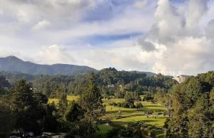 Příroda nedaleko apartmánu