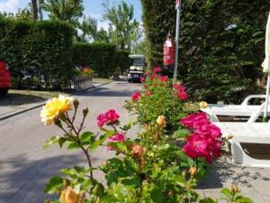 A garden outside Villaggio Camping Europa