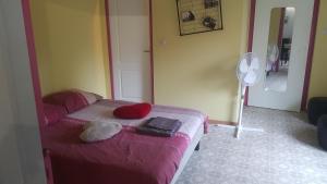 a bedroom with a pink bed and a fan at Le refuge - F1 - rez-de-chaussée in Épinal