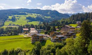 een dorp in de bergen met huizen en bomen bij Panorama Lodge Schladming in Schladming