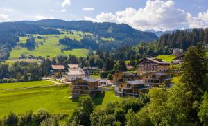 a village in the mountains with houses and trees at Panorama Lodge Schladming in Schladming