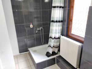 y baño con bañera y cortina de ducha. en Casa Toth din Țipțerai en Vişeu de Sus