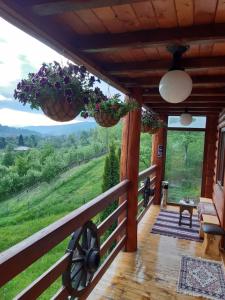 eine Veranda eines Hauses mit Topfpflanzen darauf in der Unterkunft Cabana La Mariuca in Borsa