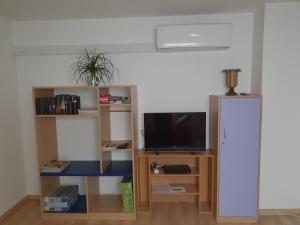 ein Wohnzimmer mit einem TV und einem Bücherregal in der Unterkunft Ferienwohnung Deichblick in Gerhardshofen