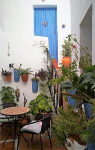 a patio with a table and chairs and potted plants at La Lectora in Vejer de la Frontera