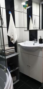 W łazience znajduje się umywalka i lustro. w obiekcie Vila Curtea de Arges w mieście Curtea de Argeş