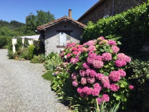 Giardino di Loft Atypique