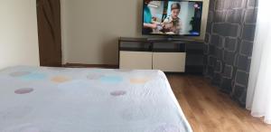 ein Schlafzimmer mit einem Bett und einem TV in einem Zimmer in der Unterkunft Vila Curtea de Arges in Curtea de Argeş