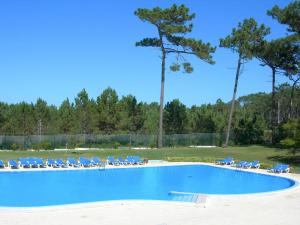 聖佩羅德姆的住宿－Parque De Campismo Orbitur Sao Pedro De Moel，一个带躺椅和树木的大型游泳池