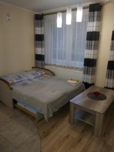 um quarto com uma cama, uma mesa e janelas em Apartament Beata em Jastrzebia Gora