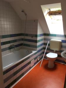 a bathroom with a toilet and a tub and a sink at Apartmán pod Velkou Amerikou in Mořina +13 photos