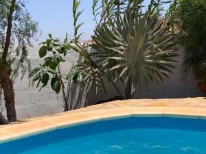 une piscine bleue avec des plantes dans une cour dans l'établissement Villa Margarita, à Valle de Santa Inés 41 autres photos