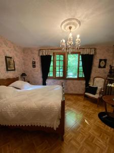 a bedroom with a bed and a chandelier at La Haie à Cerf in Watronville